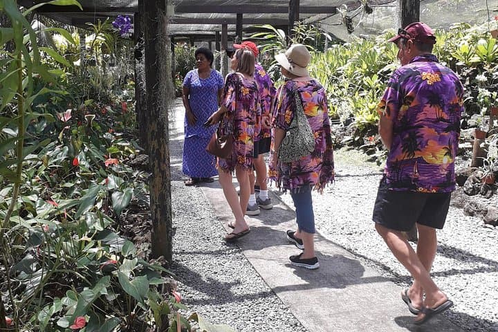 Nadi Sightseeing and Sabeto Mud Pools: Temple, Market & Garden Day Tour photo 2