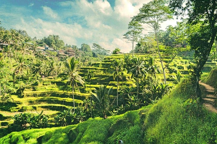 Pakerisan River Tubing in Bali — Sacred Rapids, Waterfall Stops & Subak Lunch photo 6