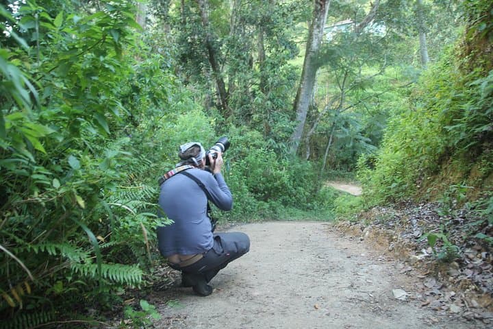 Forest Waterfall Wellness: Yoga, Waterfall Bath & Village Walk near Ella photo 4