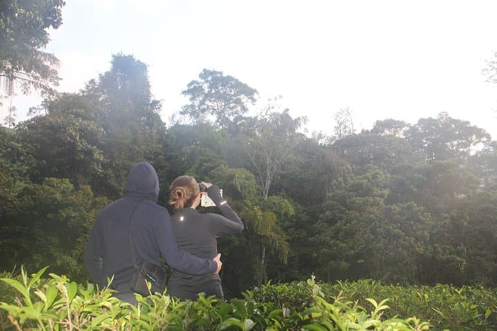 Forest Waterfall Wellness: Yoga, Waterfall Bath & Village Walk near Ella photo 6