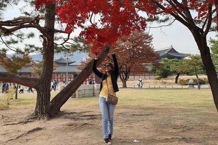 Seoul City Tour: Gyeongbokgung, Bukchon & N Seoul Tower Private Van Experience photo 5