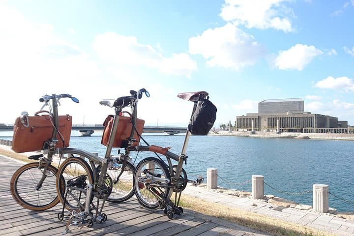 Slow Brompton Cycling Along Naruto Seaside: Whirlpools, Ferry & Oyster Coast photo 6