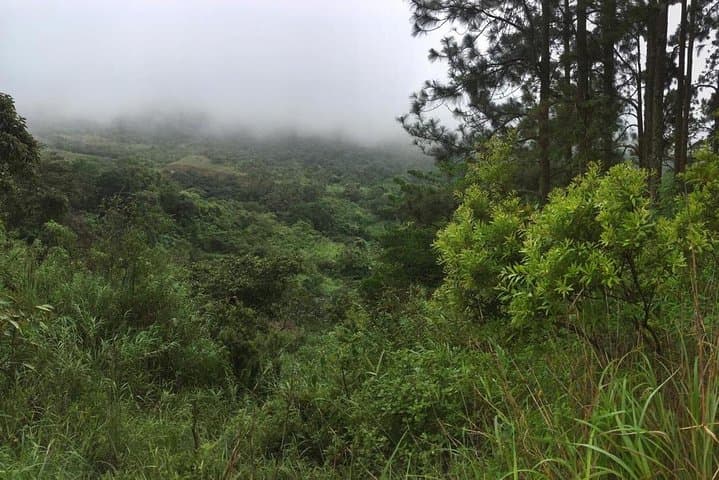 Hike El Valle de Antón: Private Mountain Hiking Inside an Inhabited Volcano photo 6