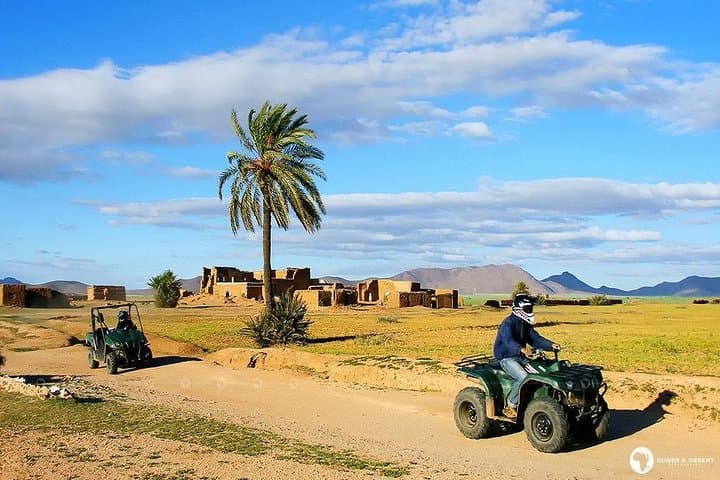 Quad Biking the Marrakech Palmeraie: 2-Hour Desert & Palm Grove Ride photo 6