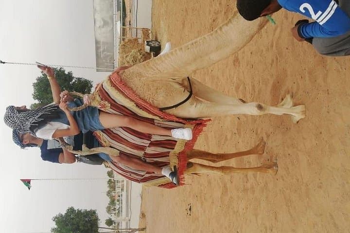 Morning Desert Safari Dubai: Dune-Bashing, Camel Rides & Sandboarding photo 4