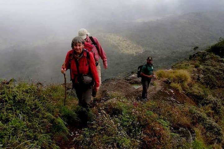 Hike Kirigalpotta: Summit Sri Lanka's 2nd-Highest Peak via Horton Plains photo 3