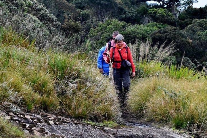 Hike Kirigalpotta: Summit Sri Lanka's 2nd-Highest Peak via Horton Plains photo 4
