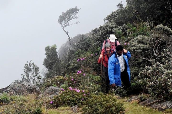 Hike Kirigalpotta: Summit Sri Lanka's 2nd-Highest Peak via Horton Plains photo 5