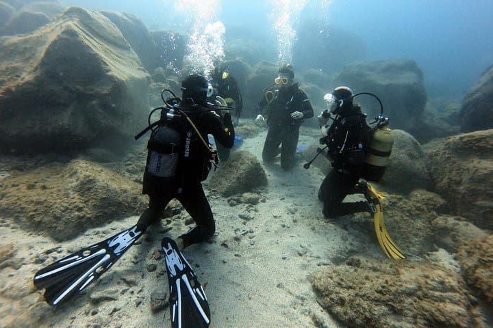 PADI Open Water Course in Costa Adeje: 4-Day Open Water Diver Certification in Tenerife photo 5