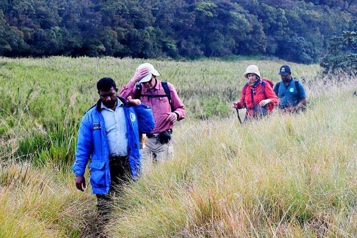Hike Kirigalpotta: Summit Sri Lanka's 2nd-Highest Peak via Horton Plains photo 6