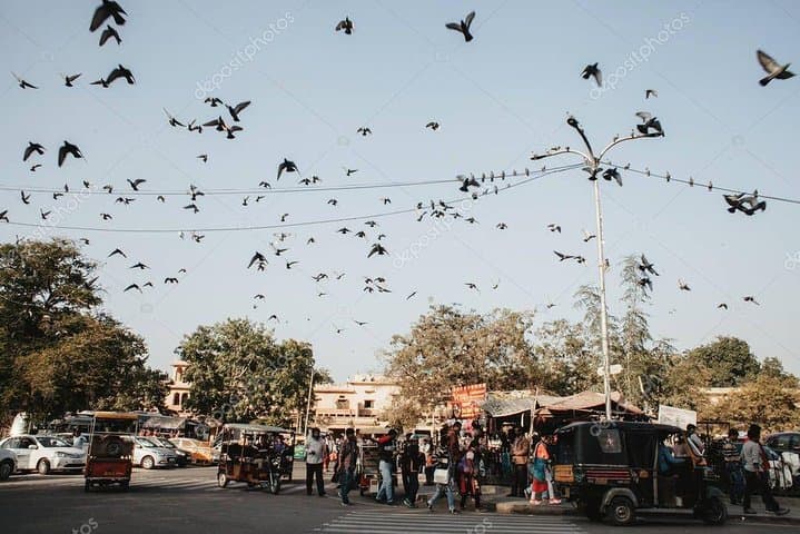 Old Delhi Private Rickshaw Tour: Jama Masjid, Chandni Chowk & Red Fort photo 3
