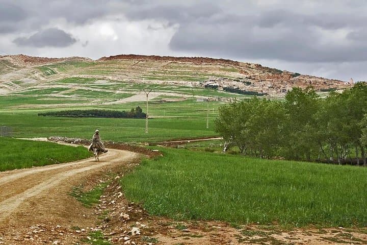 Zat Valley & Atlas Mountains Private Day Trip from Marrakech — Berber Villages, Argan Oil & Mule Ride photo 3