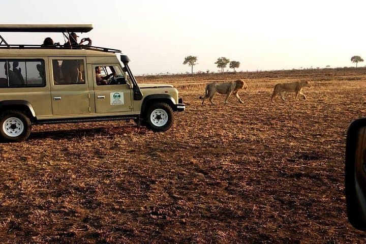 7-Day Private Budget Safari to Tanzania’s Southern Circuit: Mikumi, Ruaha & Selous