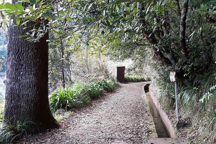 Madeira Private 1.5-Km Levada dos Balcões Hike PR11 — Ribeiro Frio Belvedere photo 2