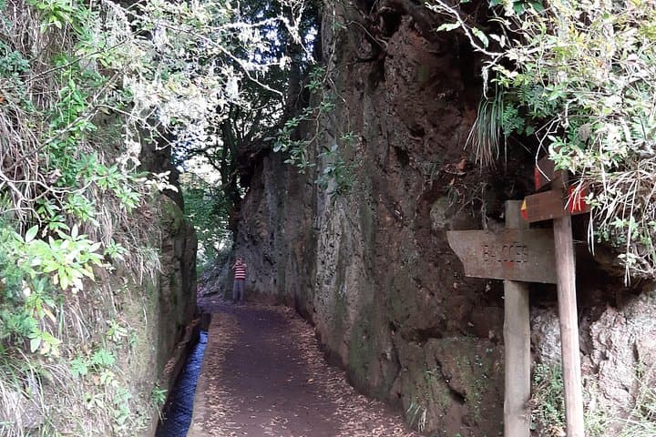 Madeira Private 1.5-Km Levada dos Balcões Hike PR11 — Ribeiro Frio Belvedere photo 1