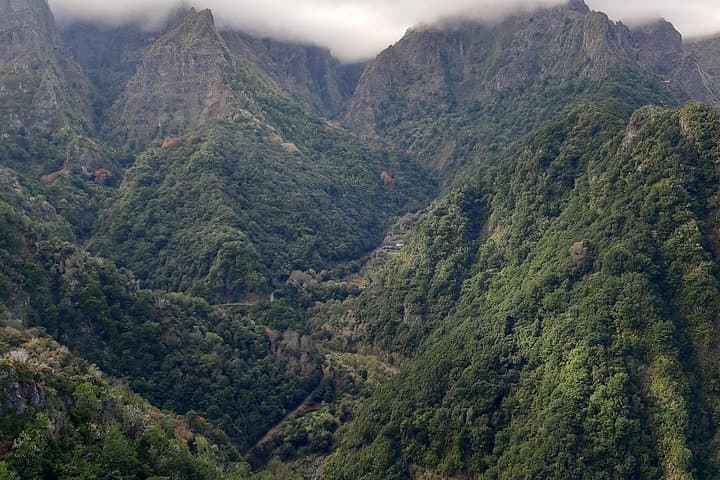 Madeira Private 1.5-Km Levada dos Balcões Hike PR11 — Ribeiro Frio Belvedere photo 4