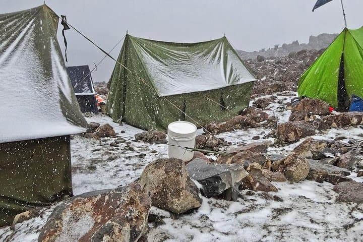6-Day Kilimanjaro Machame Route Trek — Summit Uhuru Peak from Moshi photo 6
