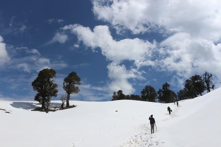 Mussoorie Ridge Treks: Jungle Cooking and 360° Summit Views photo 3