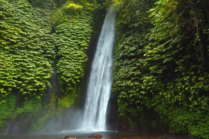 Private Bali Waterfalls Day Tour: Sekumpul, Munduk & Banyumala photo 3