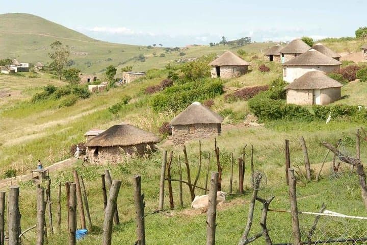 Full-Day Hluhluwe–Imfolozi Safari from Durban: Big Five & Rhino Conservation photo 4