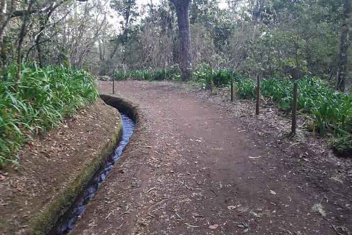 Levada Caminho para Todos: Easy Half-Day Guided Walk from Pico das Pedras to Queimadas photo 2