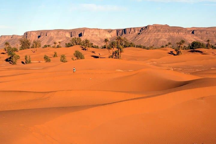 Zagora Desert 2-Day Budget Tour: Camel Ride, Draa Valley & Ait Ben Haddou photo 4