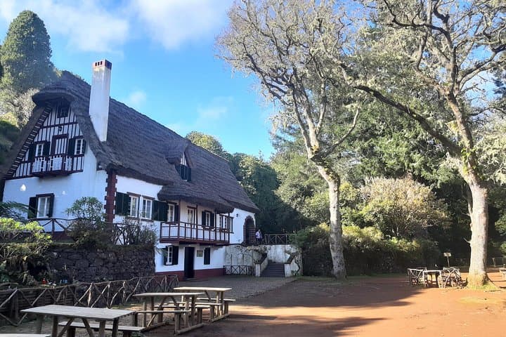Levada Caminho para Todos: Easy Half-Day Guided Walk from Pico das Pedras to Queimadas photo 3