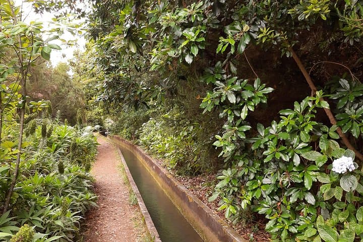 Levada Faja dos Rodrigues: Private Half‑Day Guided Walk in São Vicente, Madeira