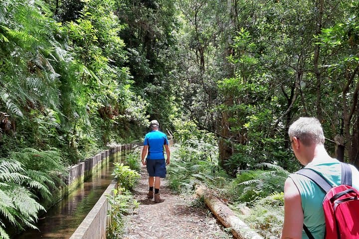 Levada Faja dos Rodrigues: Private Half‑Day Guided Walk in São Vicente, Madeira photo 2