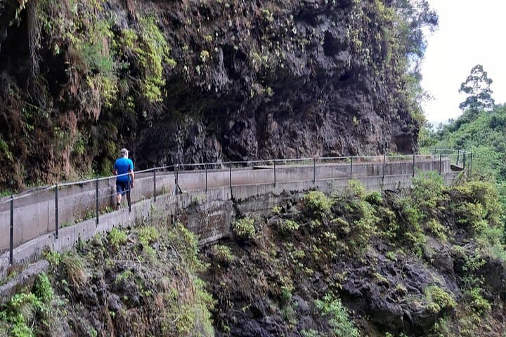 Levada Faja dos Rodrigues: Private Half‑Day Guided Walk in São Vicente, Madeira photo 3
