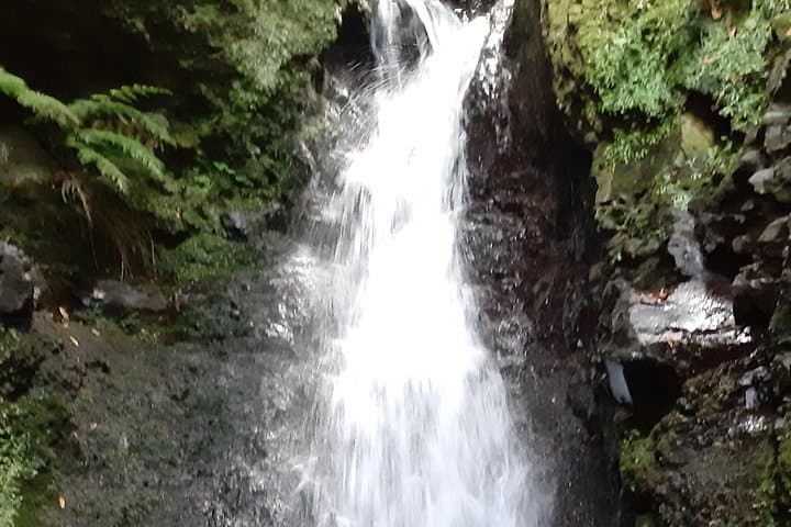 Levada Faja dos Rodrigues: Private Half‑Day Guided Walk in São Vicente, Madeira photo 6