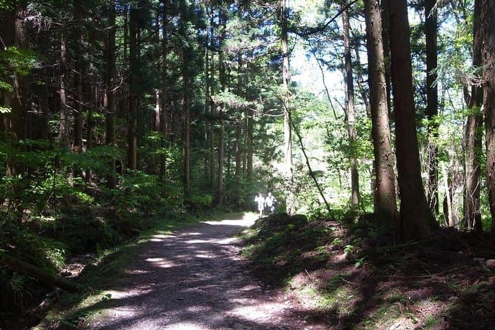 Walk the Historic Nakasendo: Magome to Tsumago Day Hike from Nagoya photo 5
