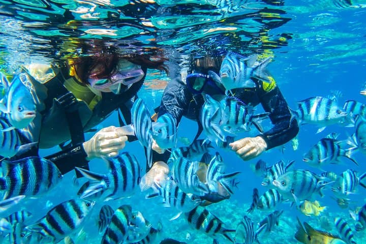 Okinawa Blue Cave Snorkeling with Private Guide and Free Photos photo 2