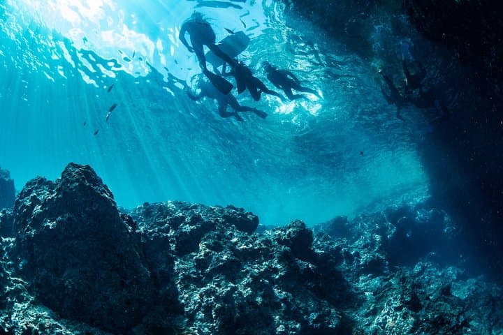 Okinawa Blue Cave Snorkeling with Private Guide and Free Photos photo 6