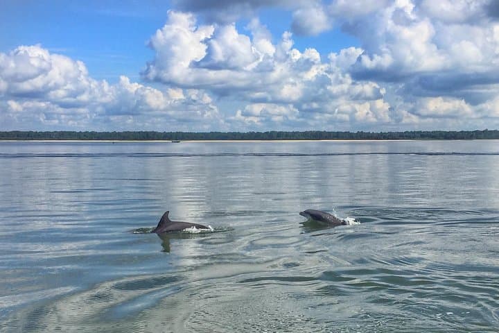 Hilton Head Jet Ski Creek Run: Harbourtown to Daufuskie Island Adventure photo 3