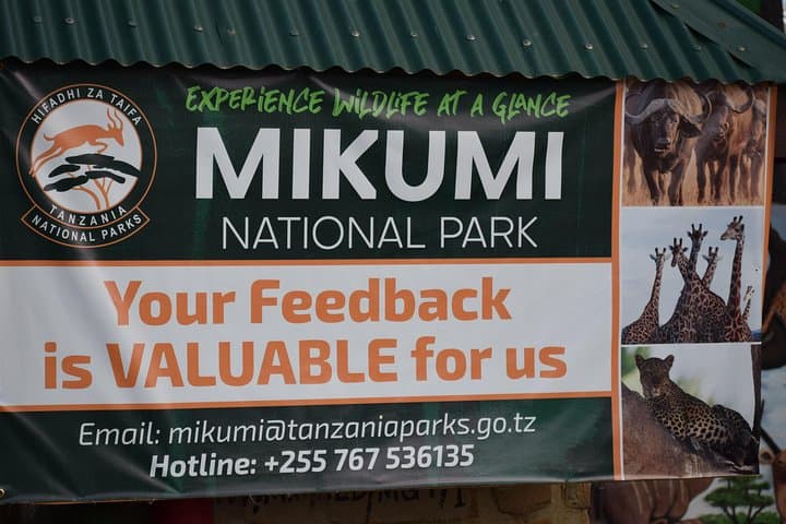 3-Day Safari to Mikumi & Udzungwa: Mikumi Game Drives and Sanje Falls Hike photo 3