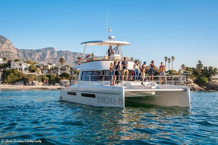 Cape Town Coastal Catamaran Cruise: Table Mountain & Wildlife Highlights photo 6