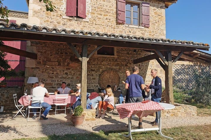 Full-Day Beaujolais Crus Wine Tour from Lyon: Tastings in Rolling Vineyards photo 1