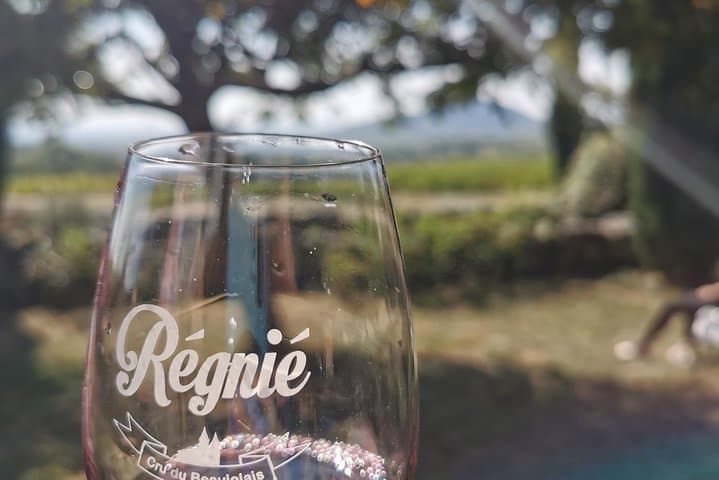 Full-Day Beaujolais Crus Wine Tour from Lyon: Tastings in Rolling Vineyards photo 2