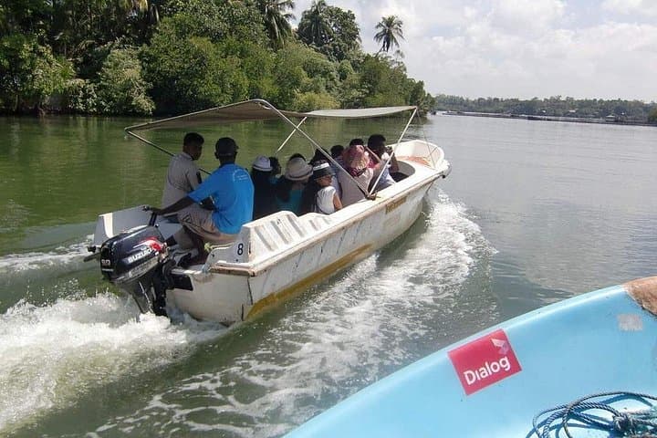 Madu River Boat Safari Balapitiya: Mangrove Cruise & Cinnamon Island Visit photo 2