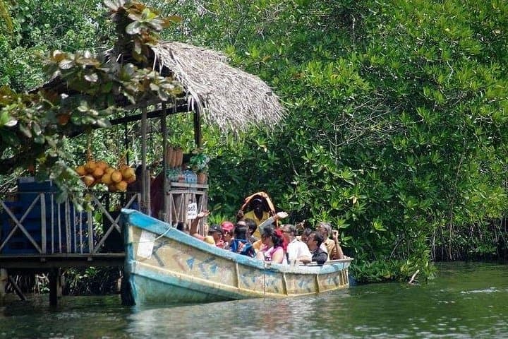 Madu River Boat Safari Balapitiya: Mangrove Cruise & Cinnamon Island Visit photo 4