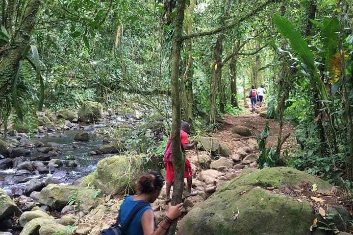 Hike Grand Etang National Park: Small-Group Rainforest Trek & St. Margaret's Waterfalls, Grenada photo 1