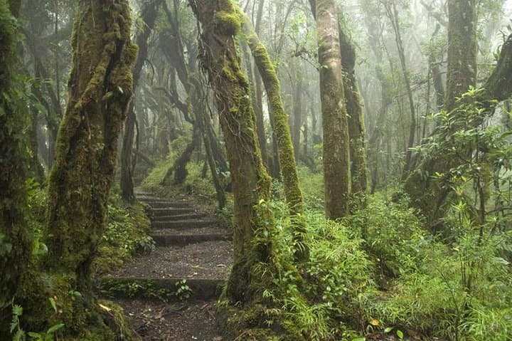 Luxury Off-the-Beaten-Path Central Valley Half-Day Tour from San Jose photo 5
