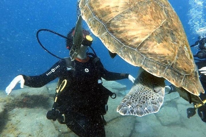 PADI Scuba Diver Course in Costa Adeje — Learn to Dive in Tenerife photo 4