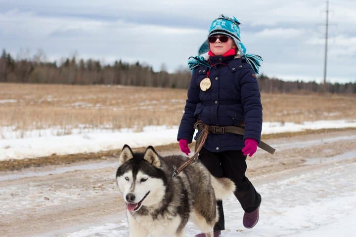 Cani-Cross at Kõrvemaa: Husky Park Hike from Tallinn photo 4