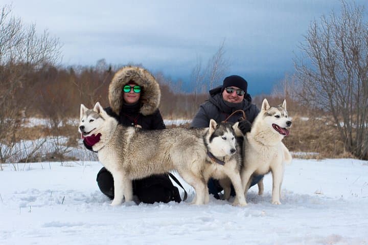 Cani-Cross at Kõrvemaa: Husky Park Hike from Tallinn photo 6