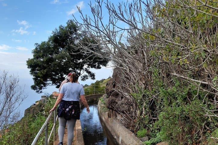 Madeira Levada do Norte Guided Walk — Cabo Girão to Ribeira Brava photo 3