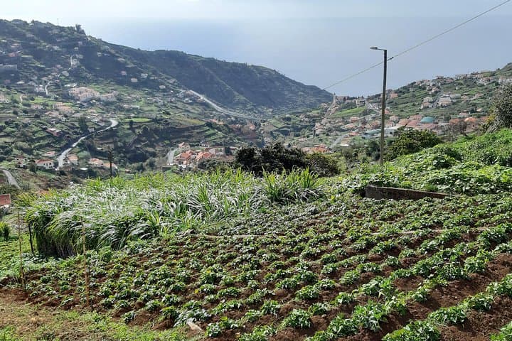 Madeira Levada do Norte Guided Walk — Cabo Girão to Ribeira Brava photo 5