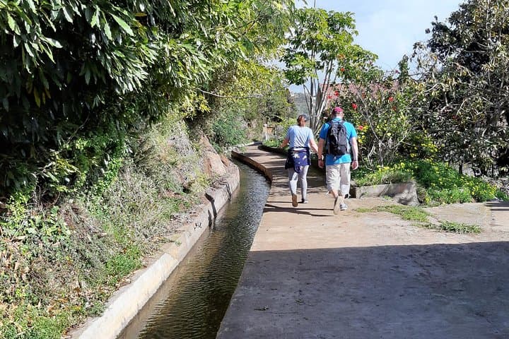 Madeira Levada do Norte Guided Walk — Cabo Girão to Ribeira Brava photo 6