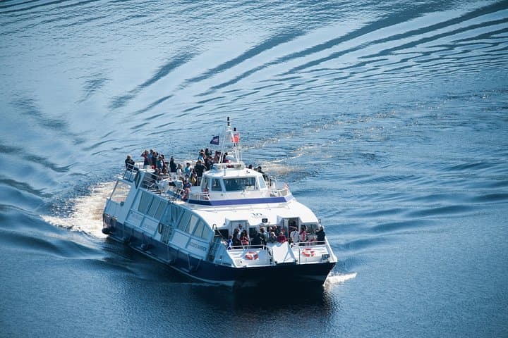 Loch Ness Cruise: 1-Hour Sightseeing with Urquhart Castle Views photo 4